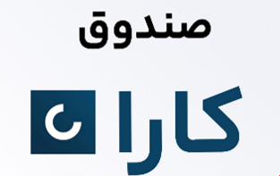 ارزیابی خسارت کارا